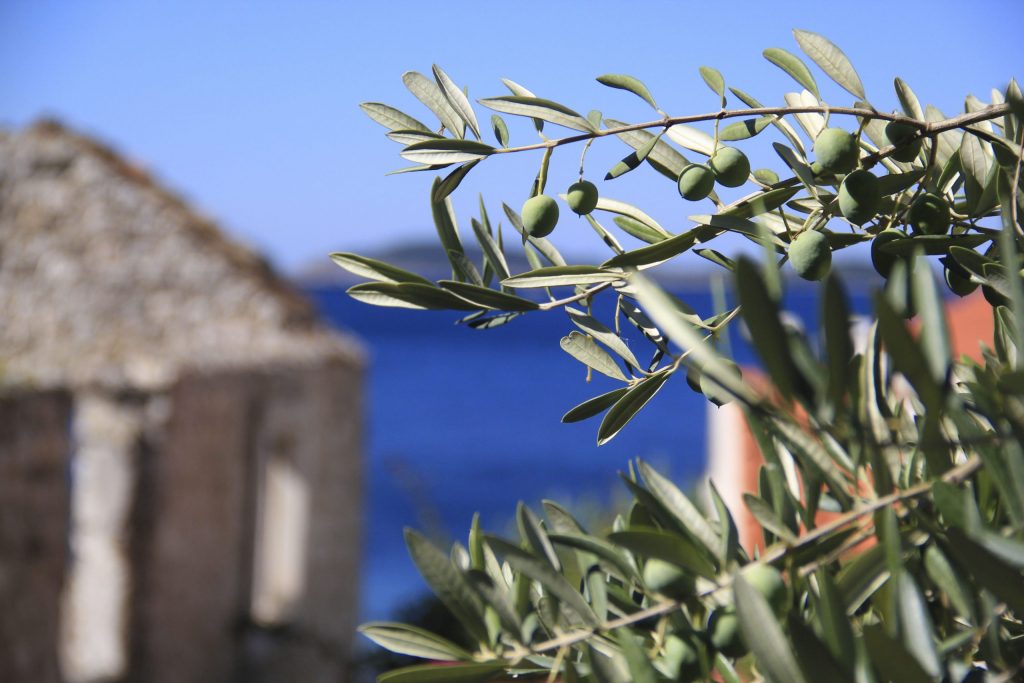 Regione per regione, seguendo un filo d’olio